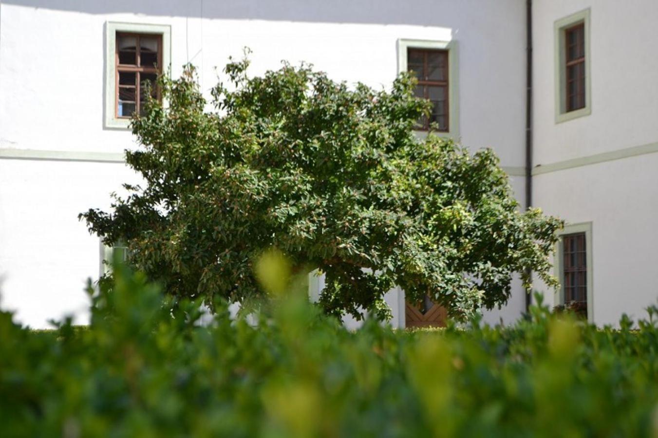 Adalbert Ecohotel Πράγα Εξωτερικό φωτογραφία